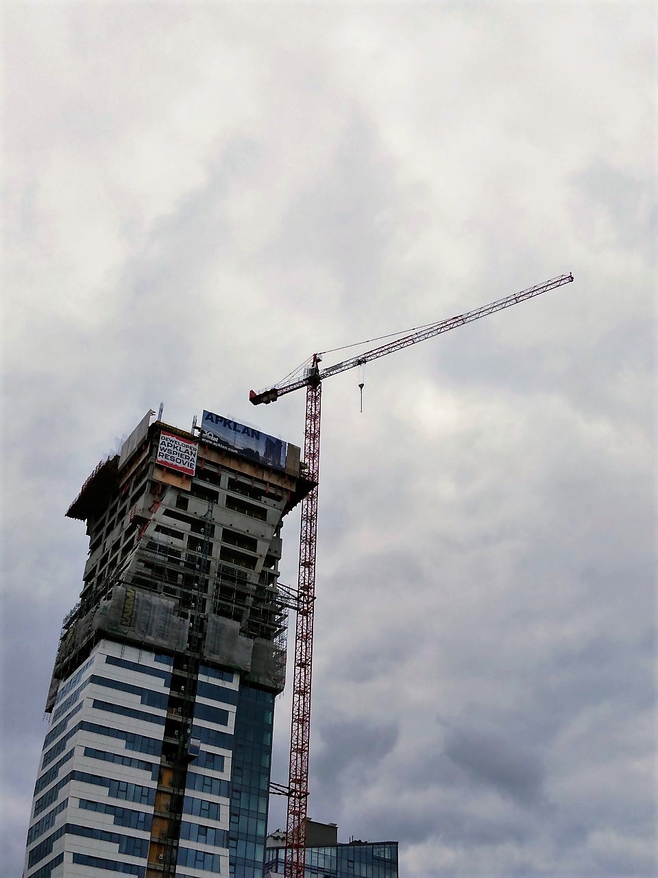 olz.jpg