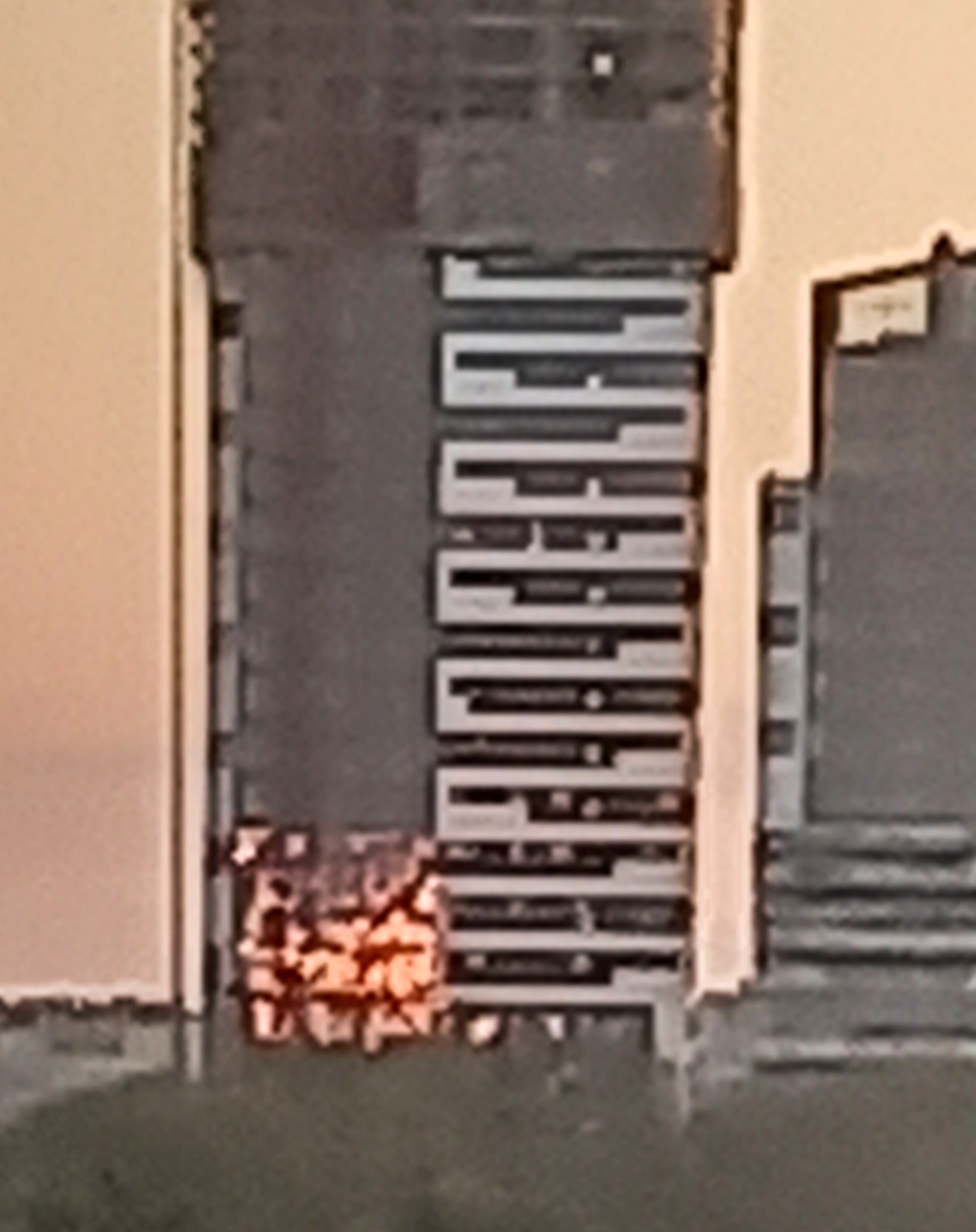 20230509_195046.jpg