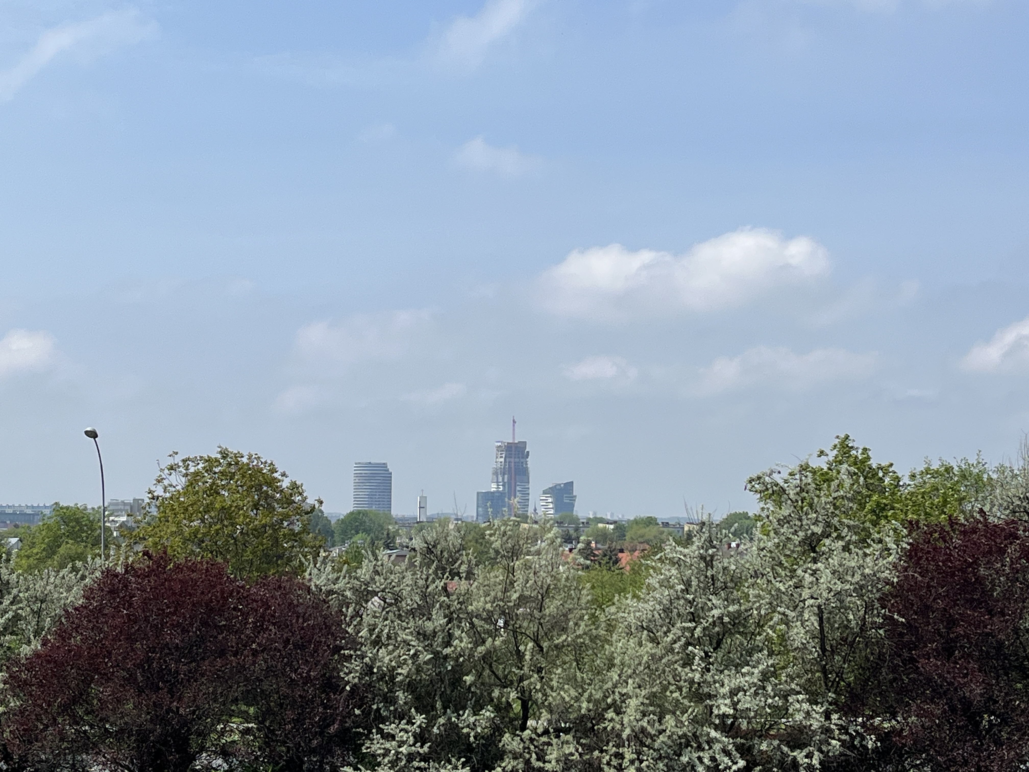 IMG_2581.jpeg