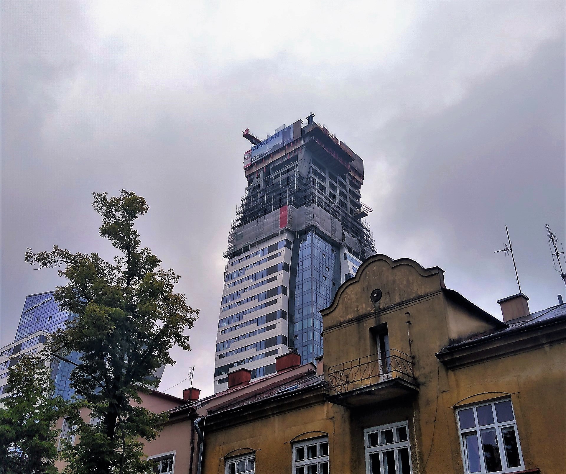 olzp.jpg