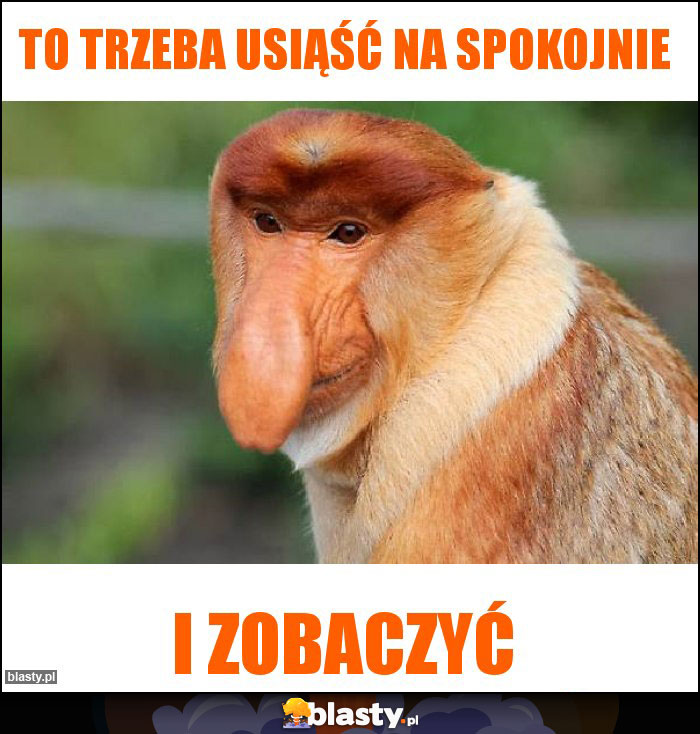 to-trzeba-usiasc-na-spokojnie_2018-08-04_15-25-14.jpg