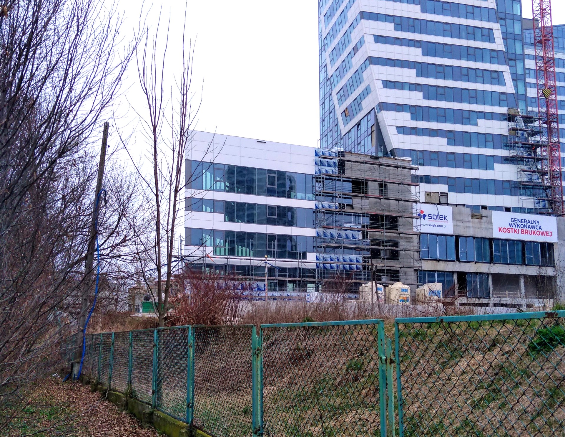 olup1.jpg