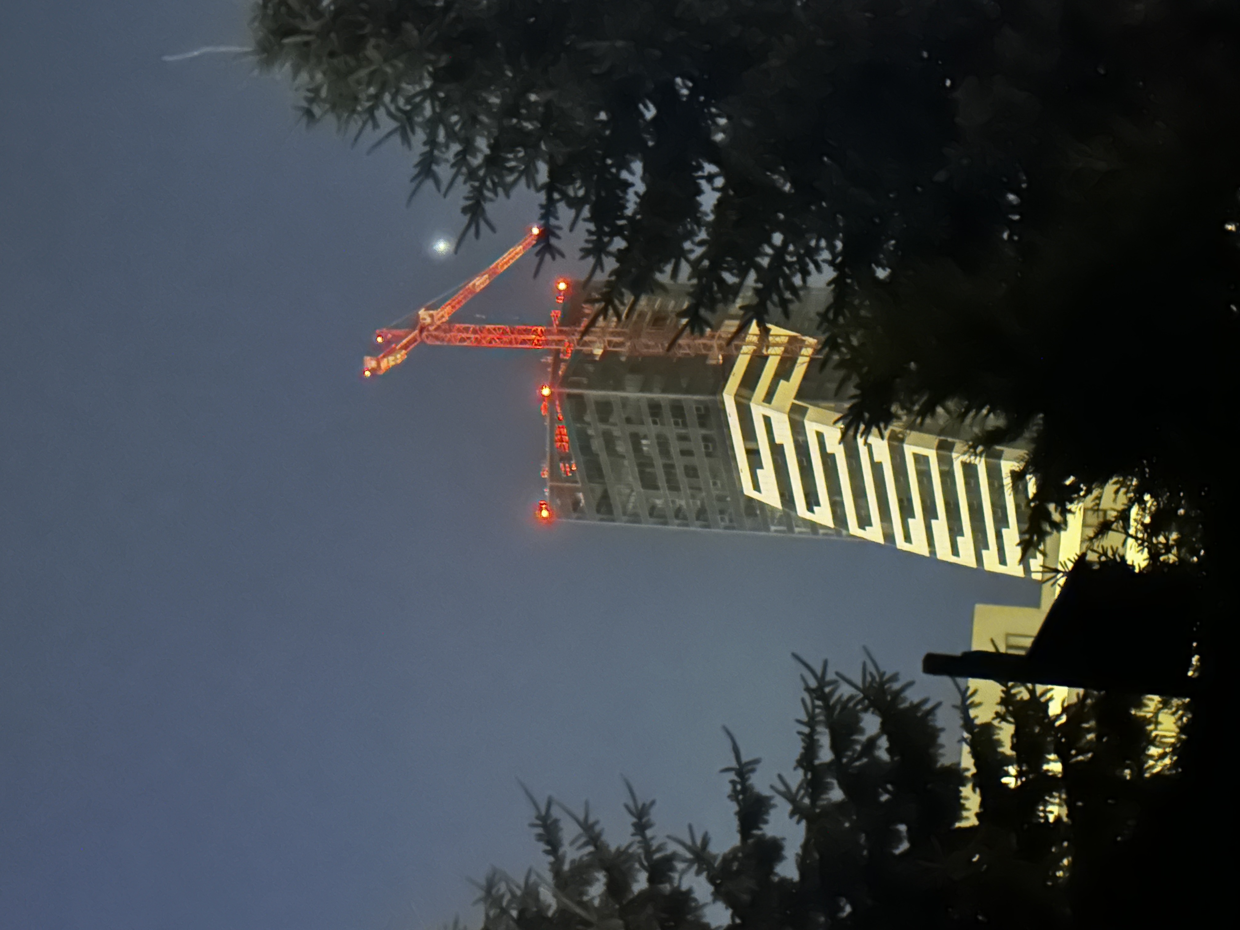602A472B-DE89-4A7E-8E7A-583E55609AF4.jpeg