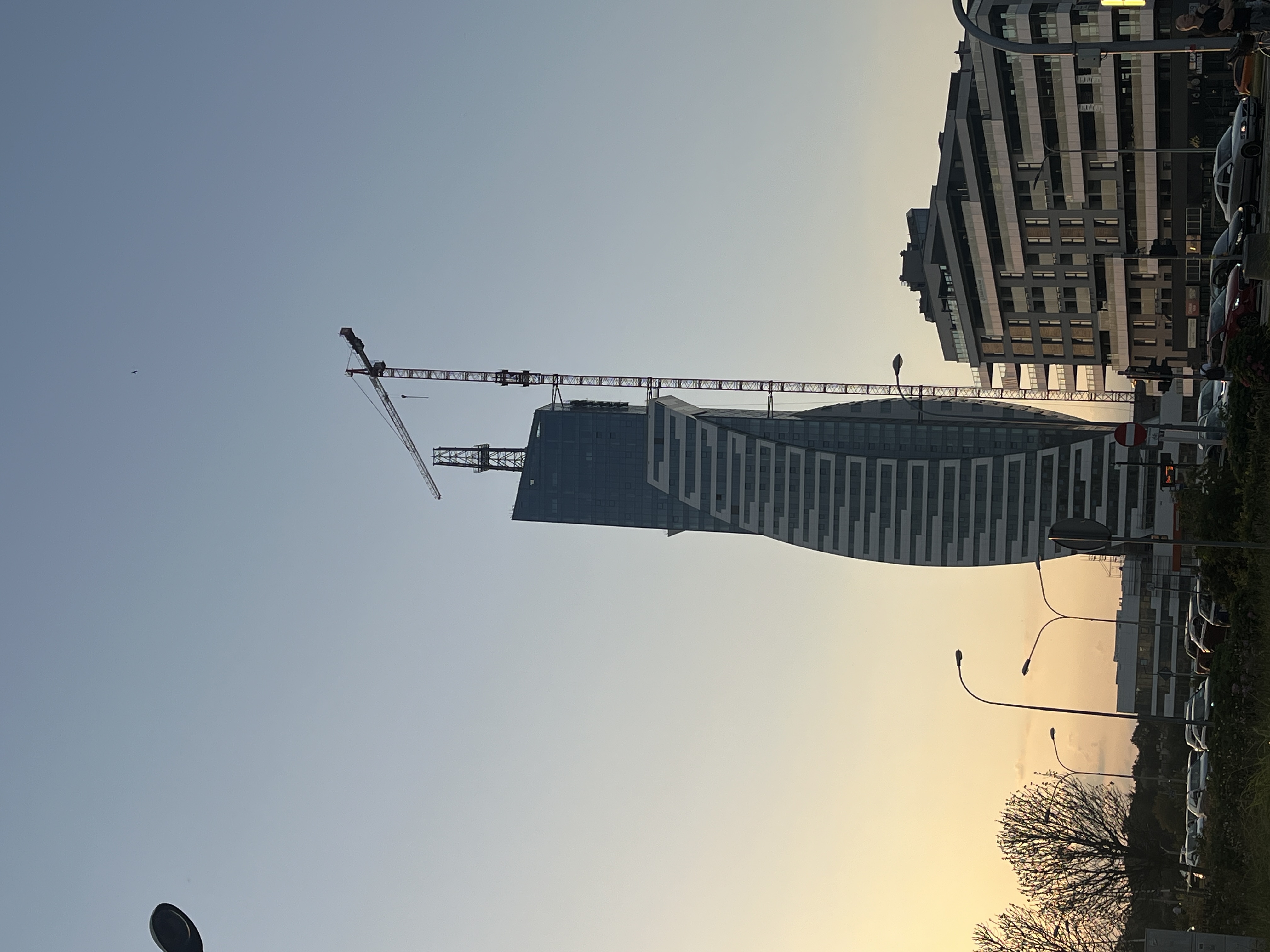 IMG_7541.jpeg