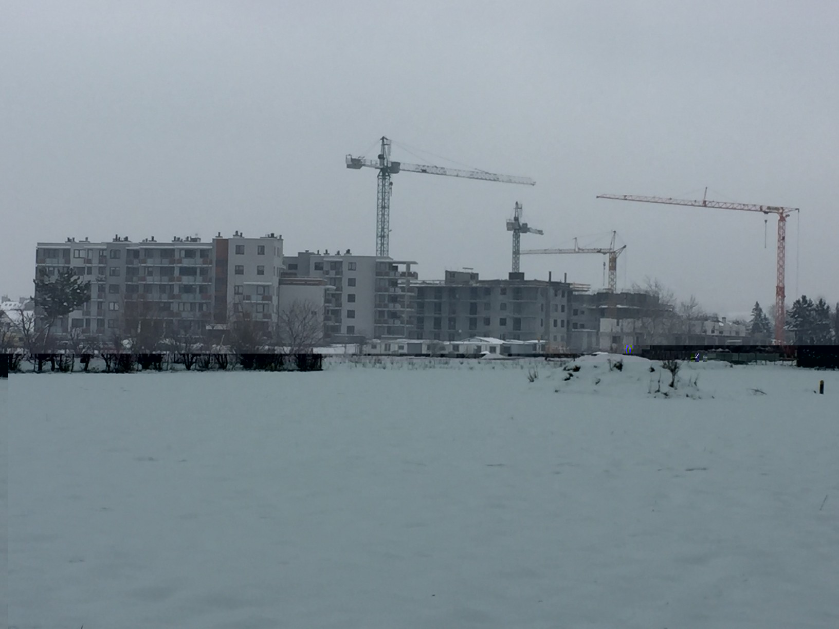img-7849_1.jpg