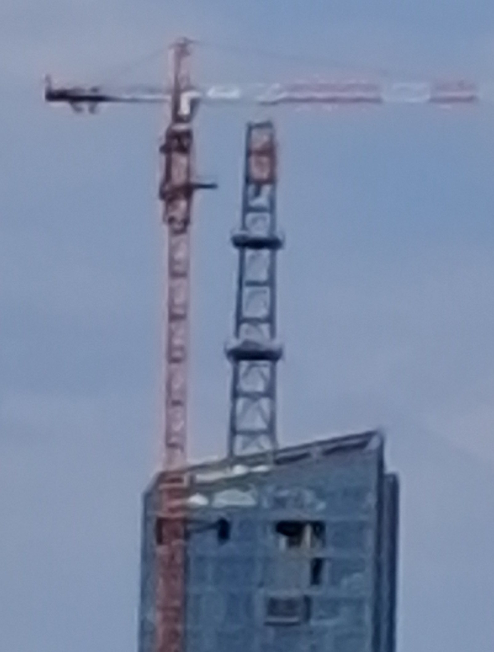 20240801_092455.jpg