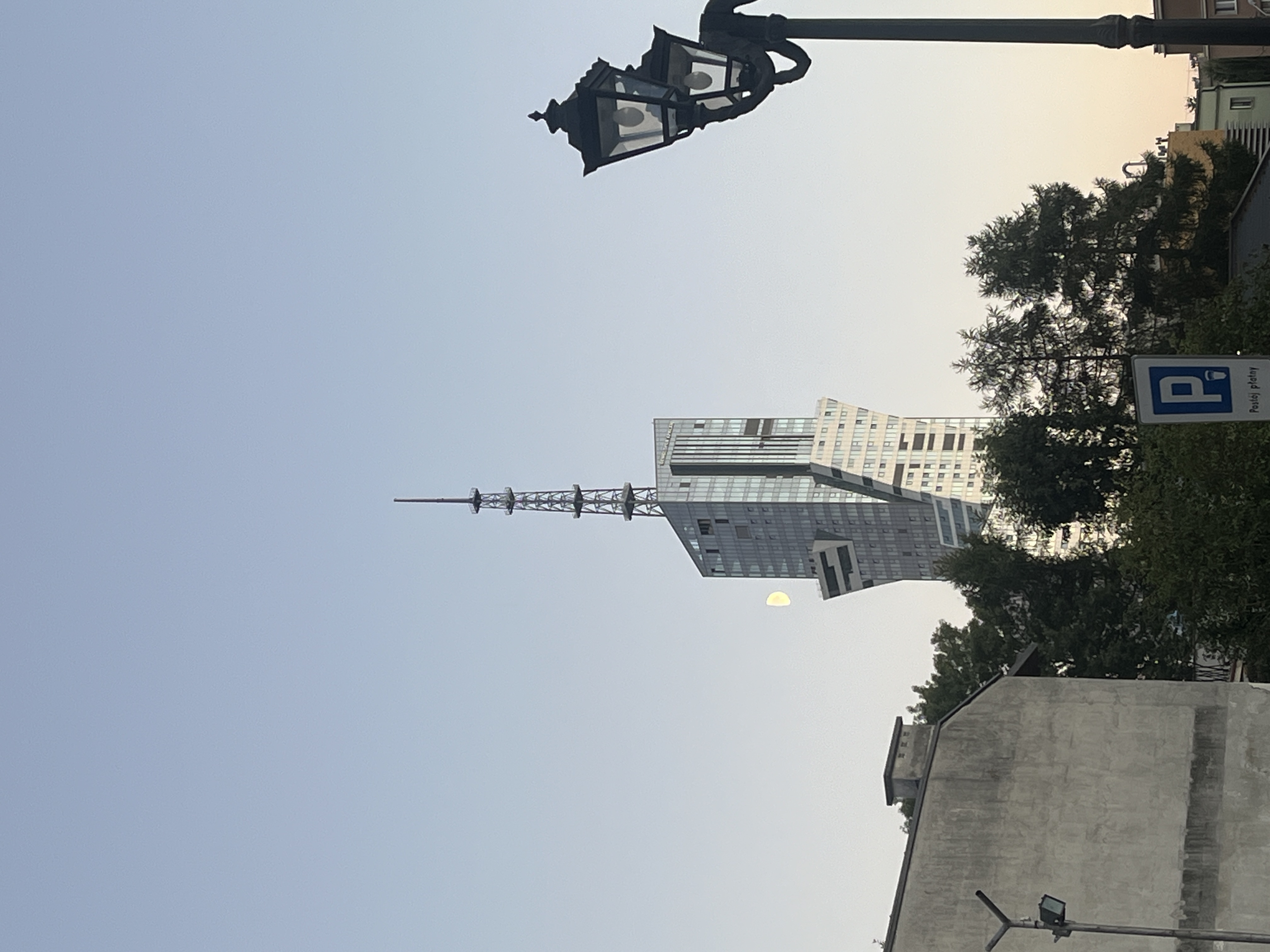 IMG_7867.jpeg