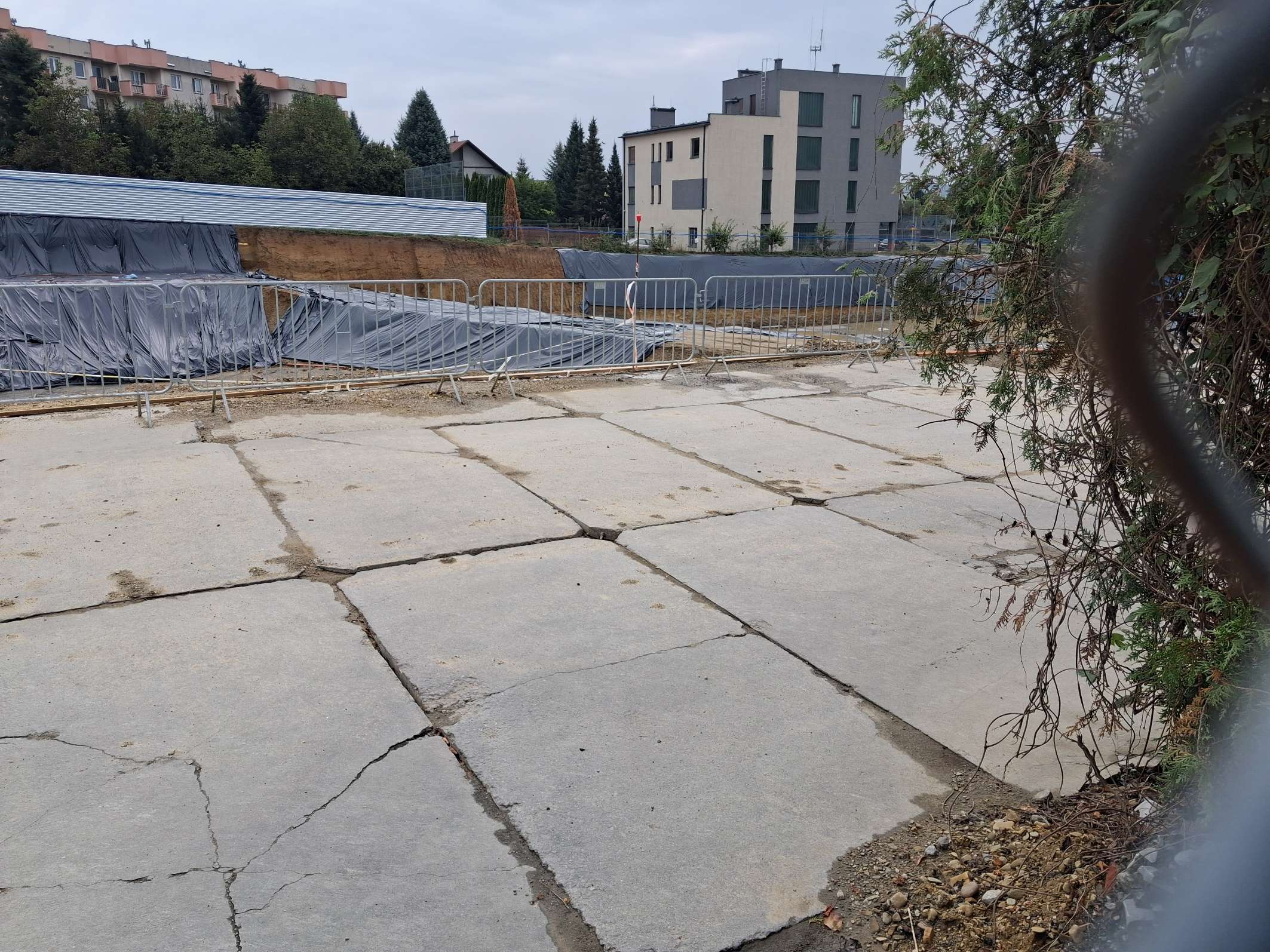 20240916_101234.jpg