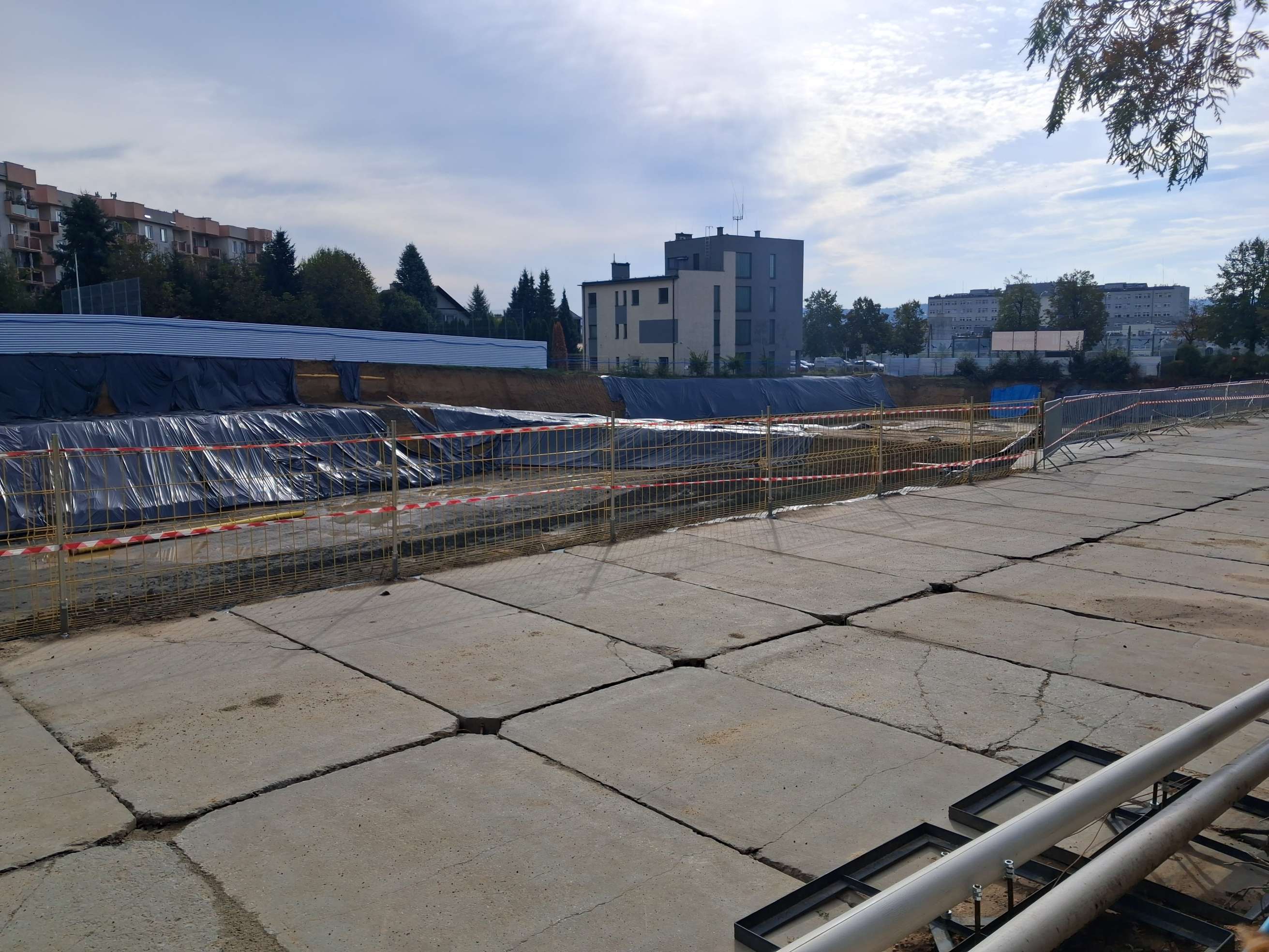 20240926_094452.jpg
