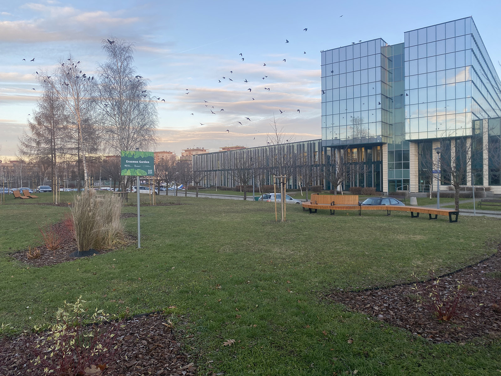 PRz Erasmus Garden.JPG
