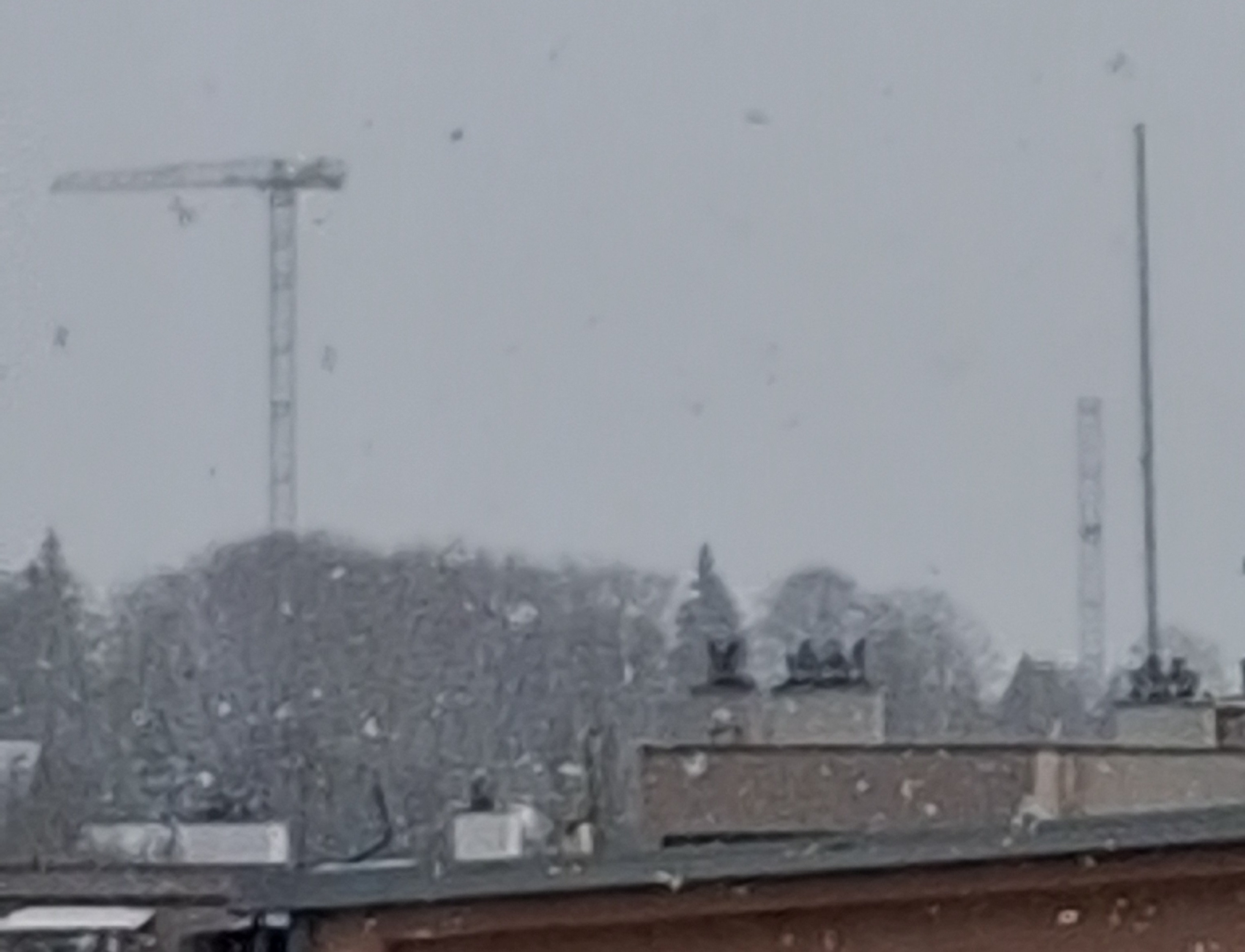 20250111_105942.jpg