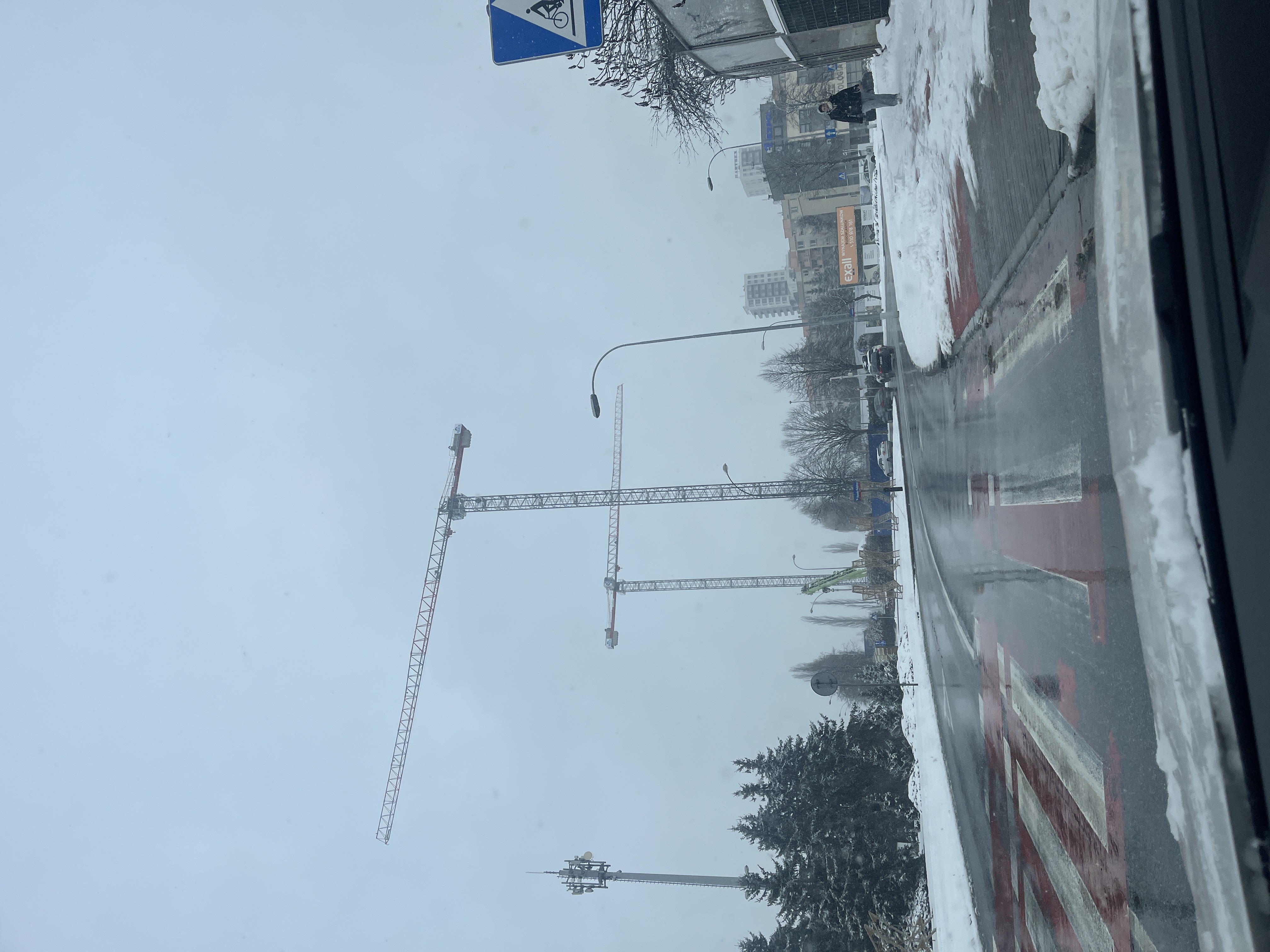 IMG_9380.jpeg