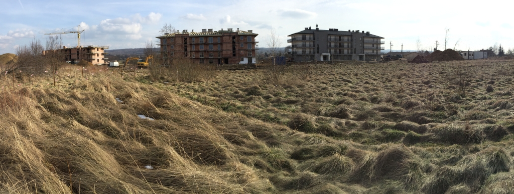 Zdjęcie 10.03.2018, 14 12 58.jpg