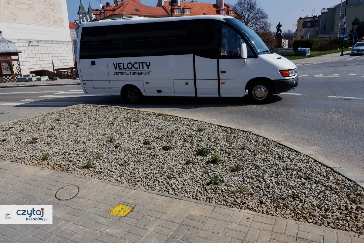 20250328_rzeszow_ogrody_8.jpg