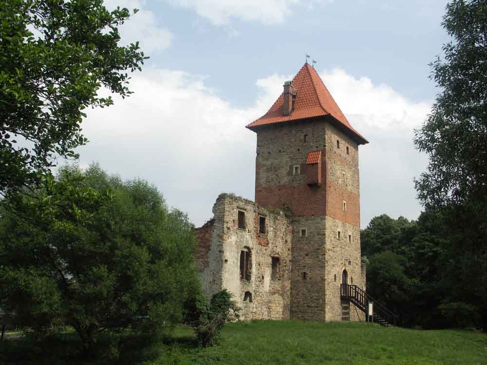 toaleta.jpg