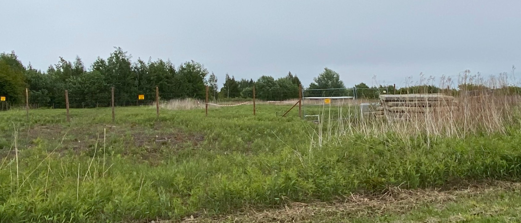 Zrzut ekranu 2025-05-19 170149.jpg