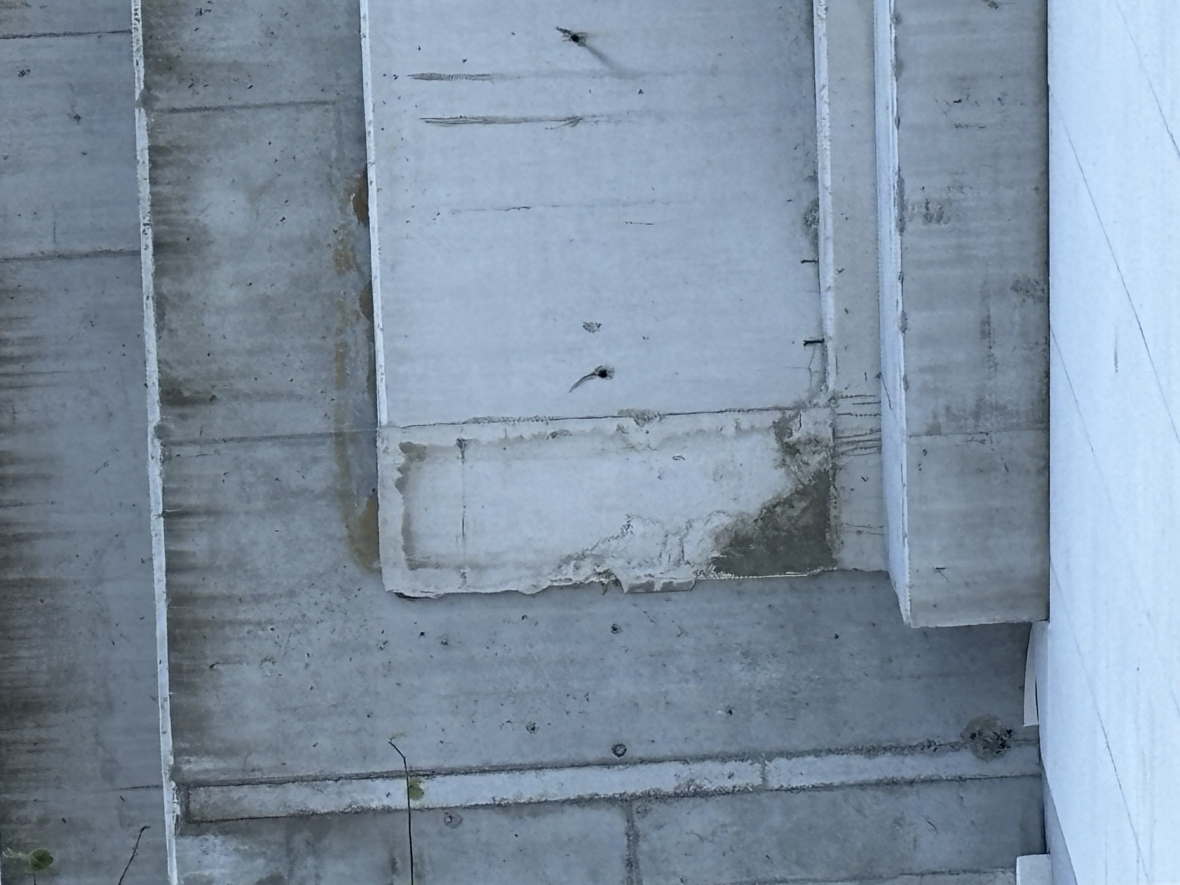 IMG_0340.jpeg