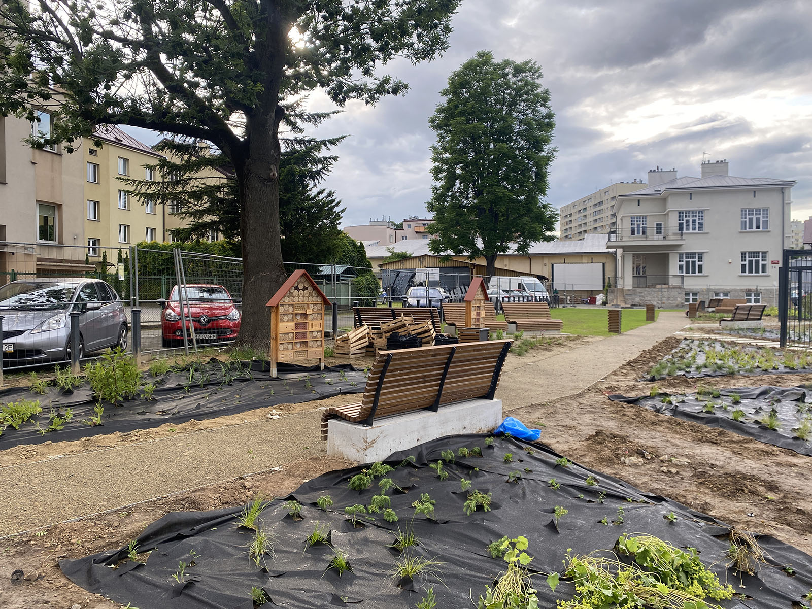 Teren zielony przed Estradą Rzeszowską 1.JPG