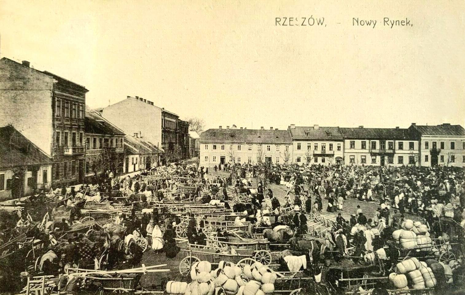 nowe_miasto.jpg