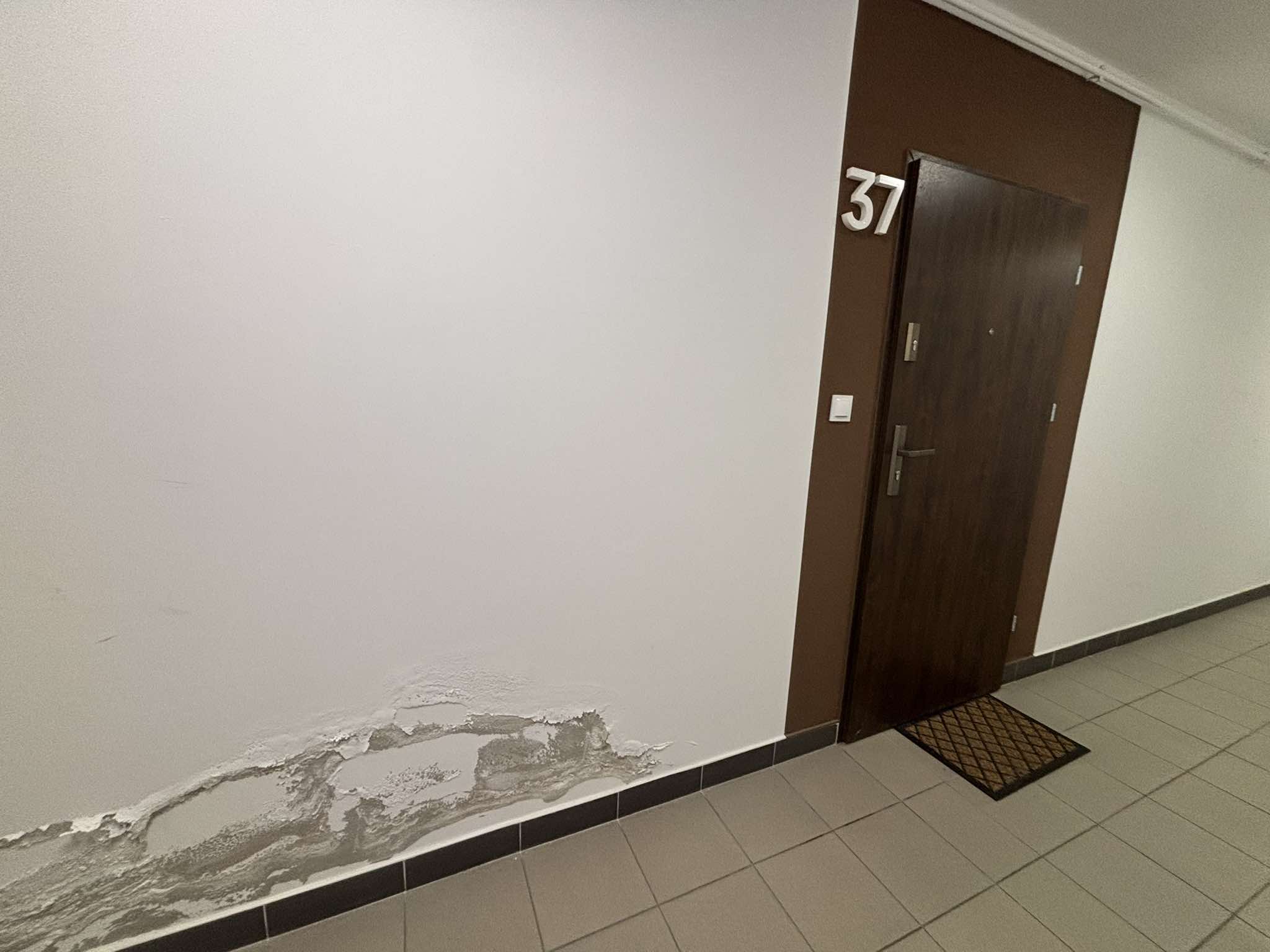 Mieszkanie nr 37_ściana.jpg