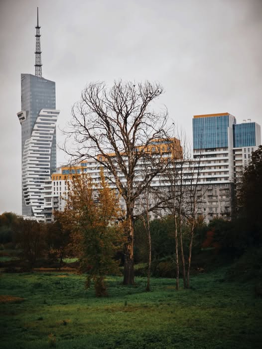 autor Daniel Gajdajenko - Rzeszów Foto Art.jpg