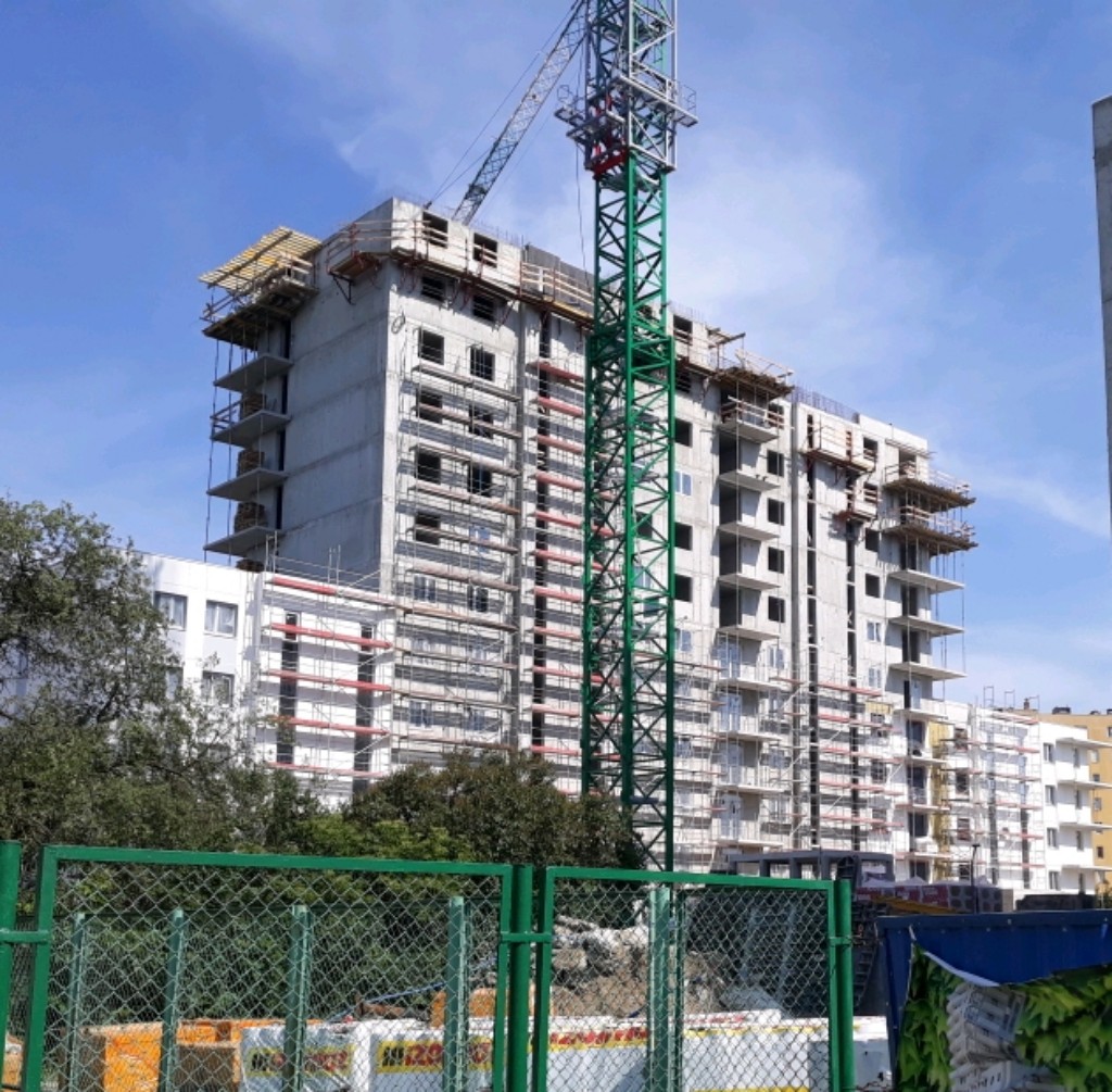 20180609_154558_crop_631x619-1024x1005.jpg