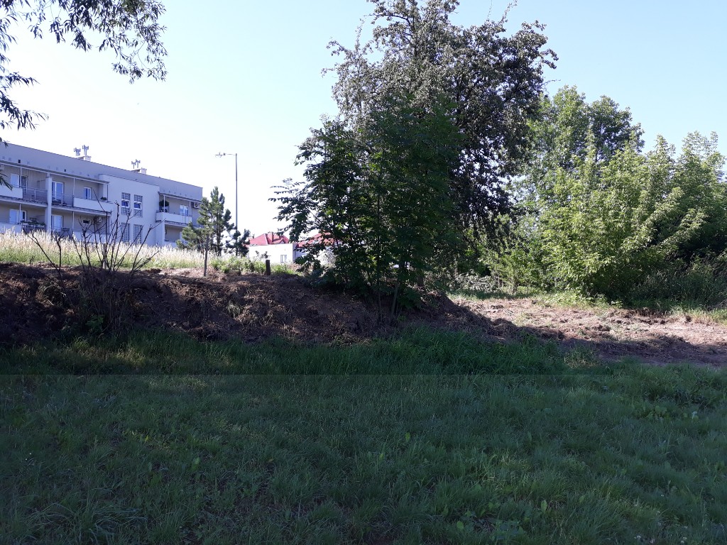 20180616_090224-1024x768.jpg