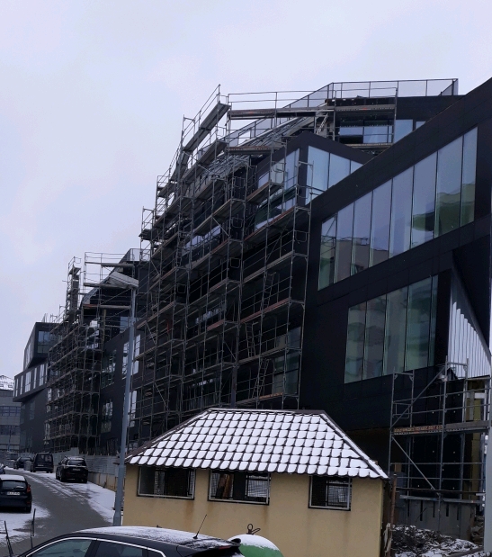 20181225_104314_crop_547x619.jpg
