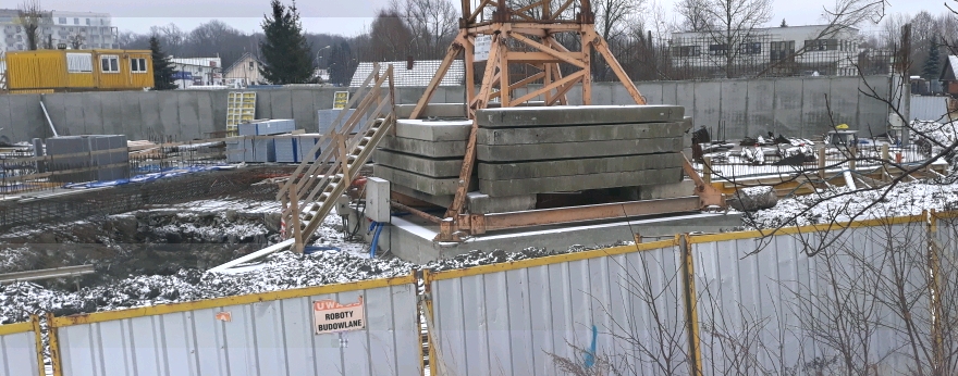 20181225_105217_crop_880x346.jpg
