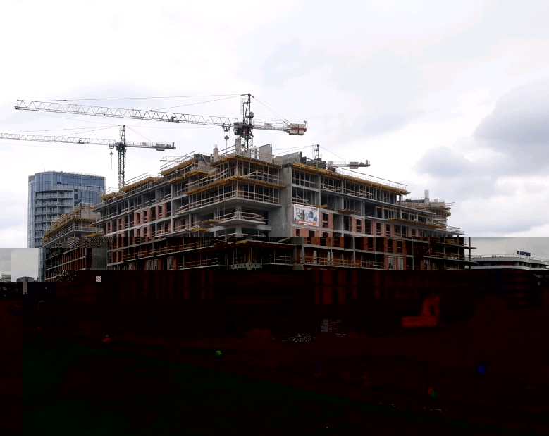 20190407_103751_crop_779x619.jpg
