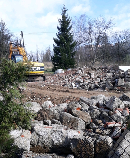 20190407_095143-1024x1365_crop_434x526.jpg