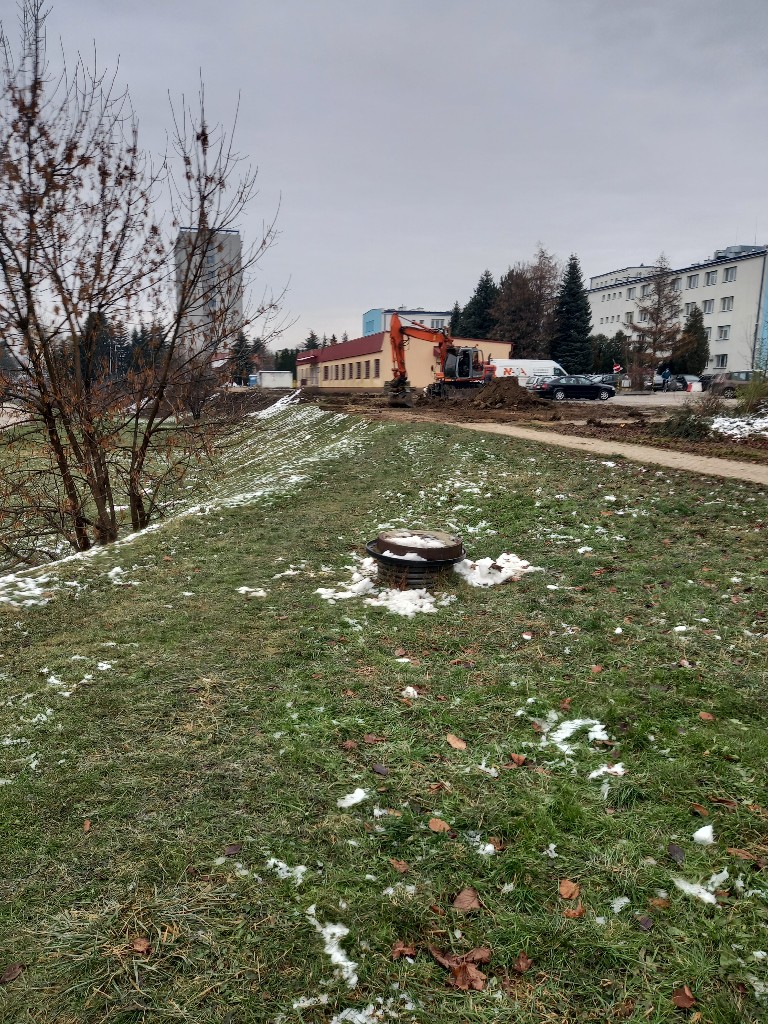 20201204_103706.jpg