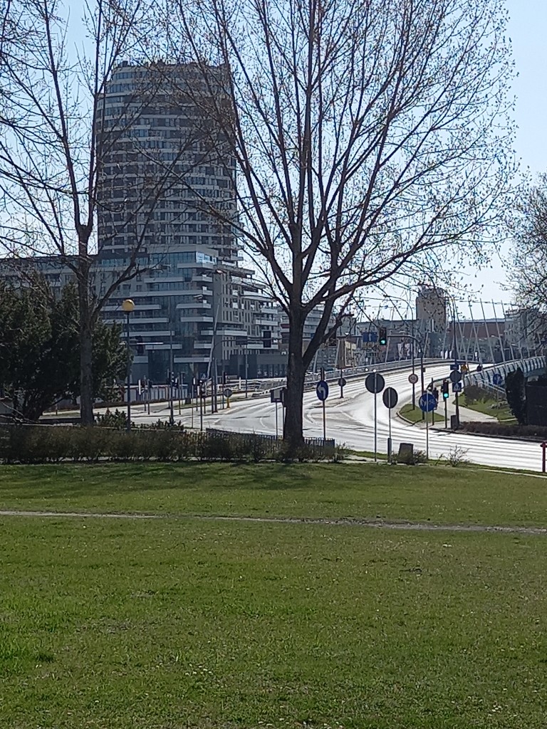 20210411_094516.jpg