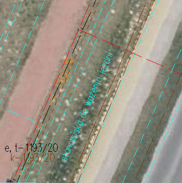 lubelsa 2.png