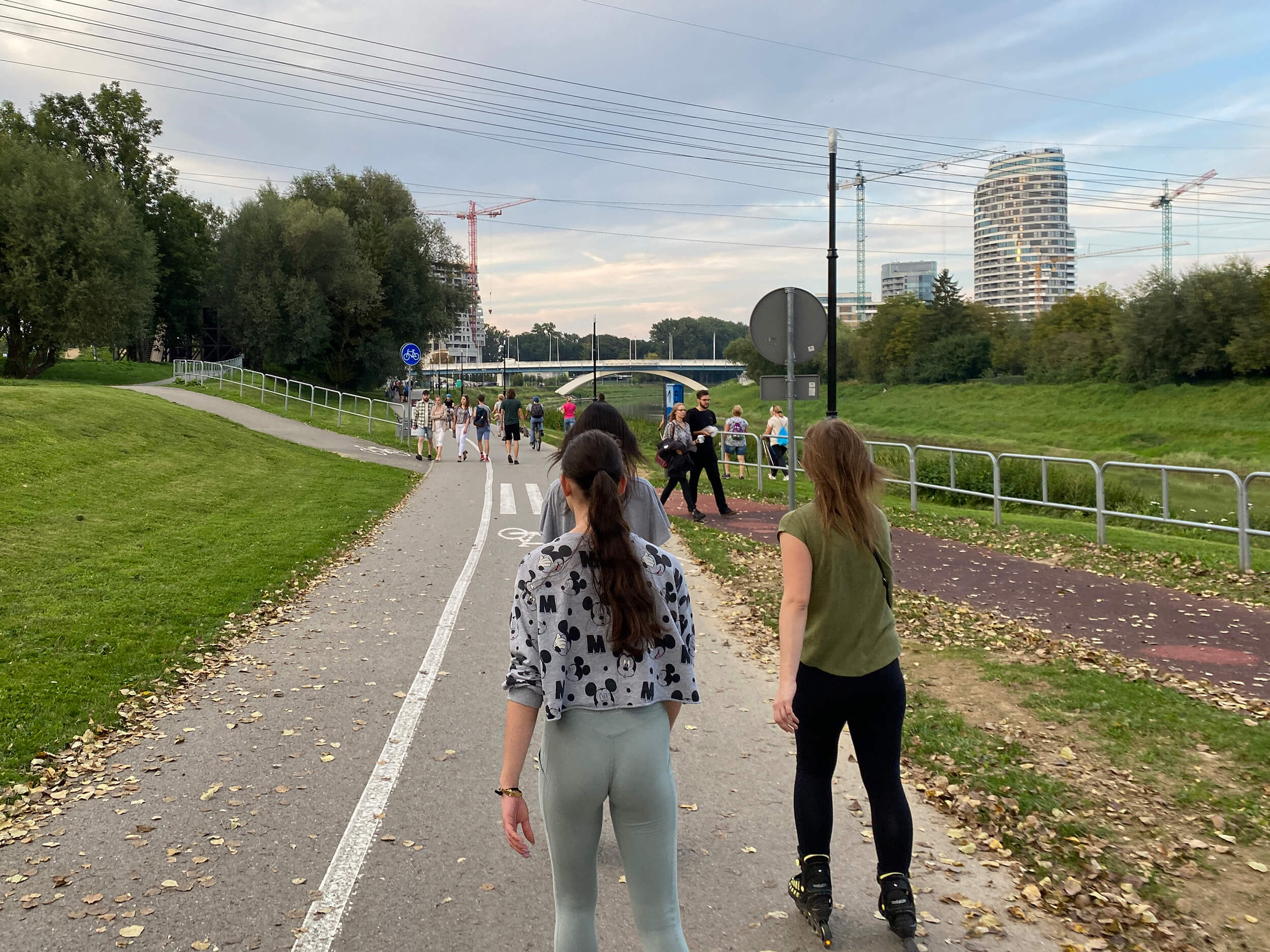 Oświetlenie wzdłuż Wisłoka.JPG