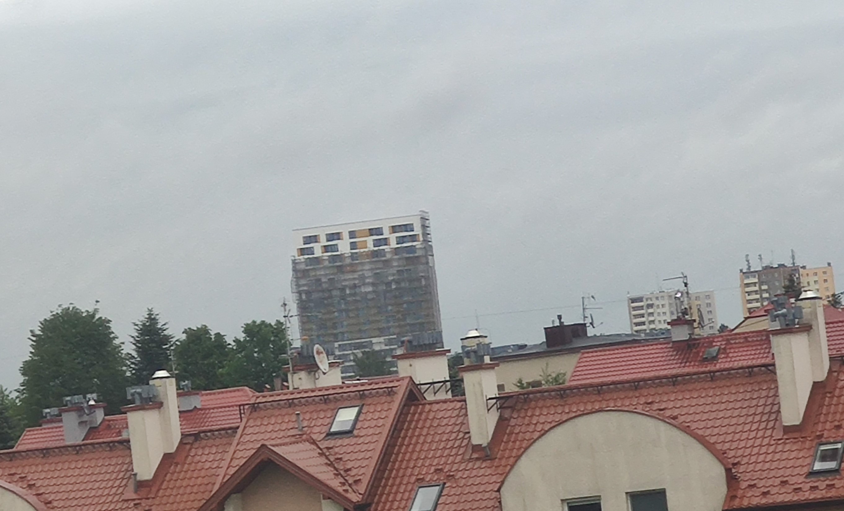 IMG_20220525_192126.jpg