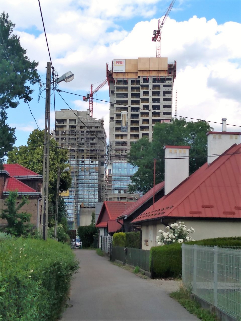 olp_IMG_20220612_165139.jpg
