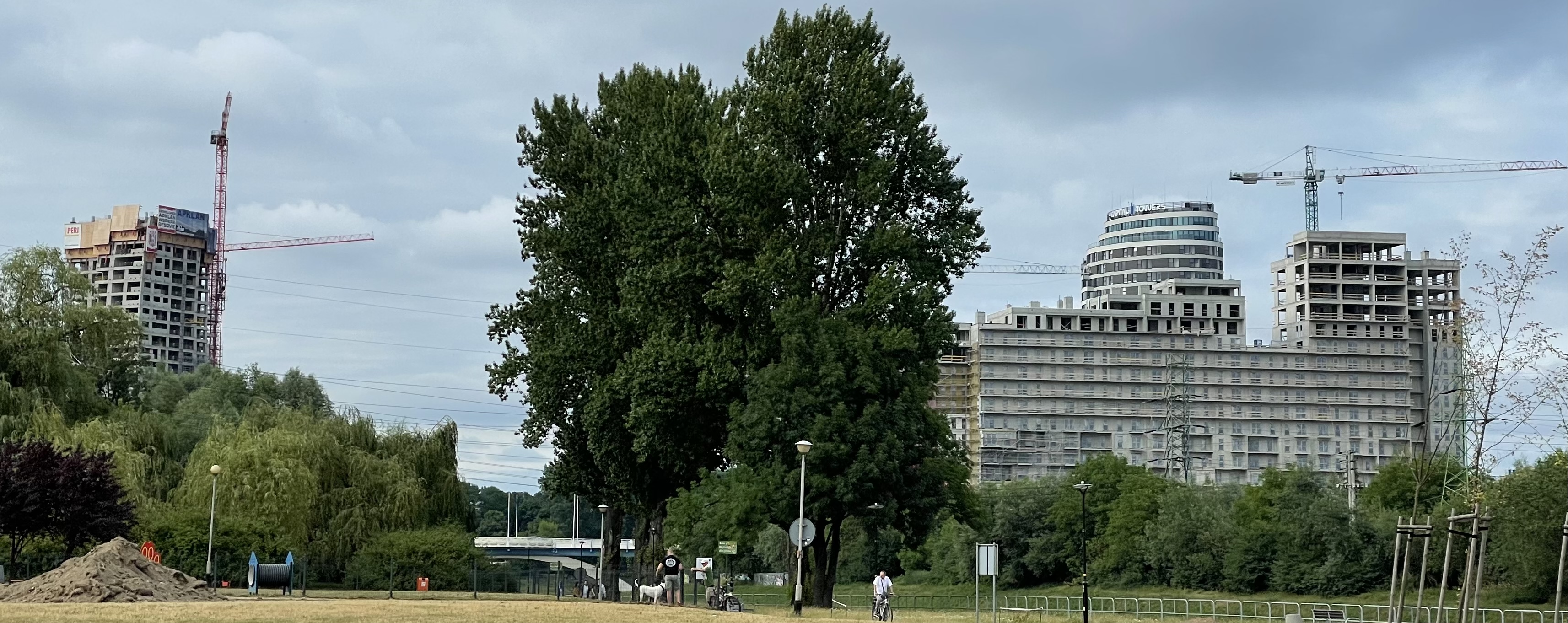 CE07D94A-2455-4630-8F09-E07923BFA0FC.jpeg
