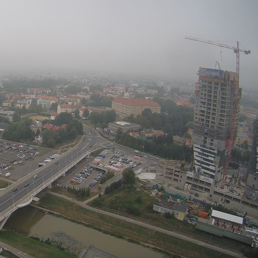 olszynki.JPG