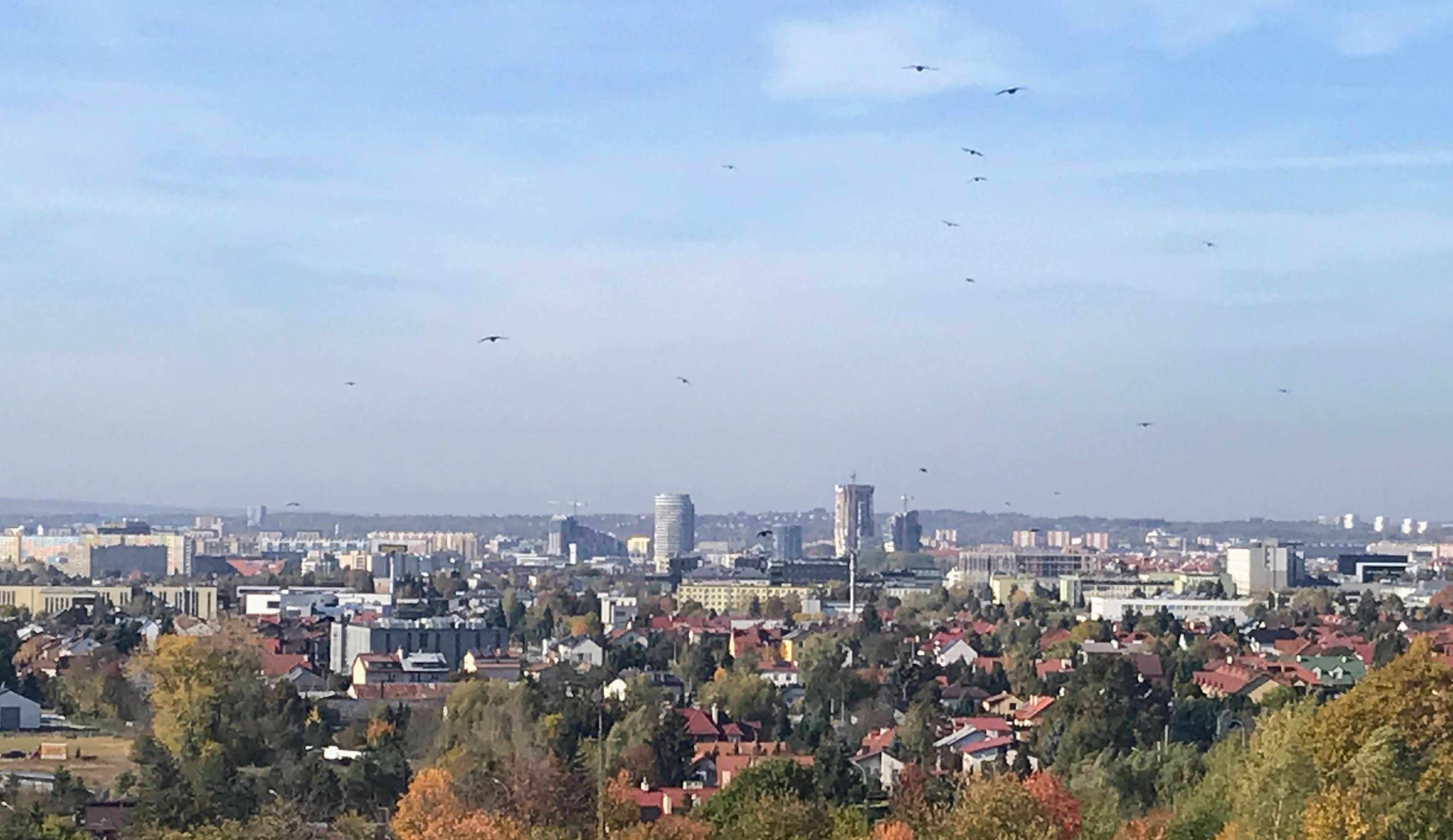 Olszynki Park 17.10.2022.jpg