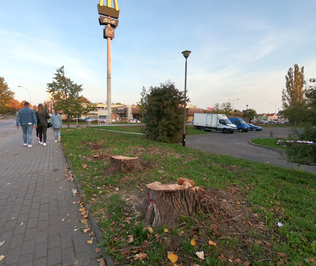 przebud1.jpg