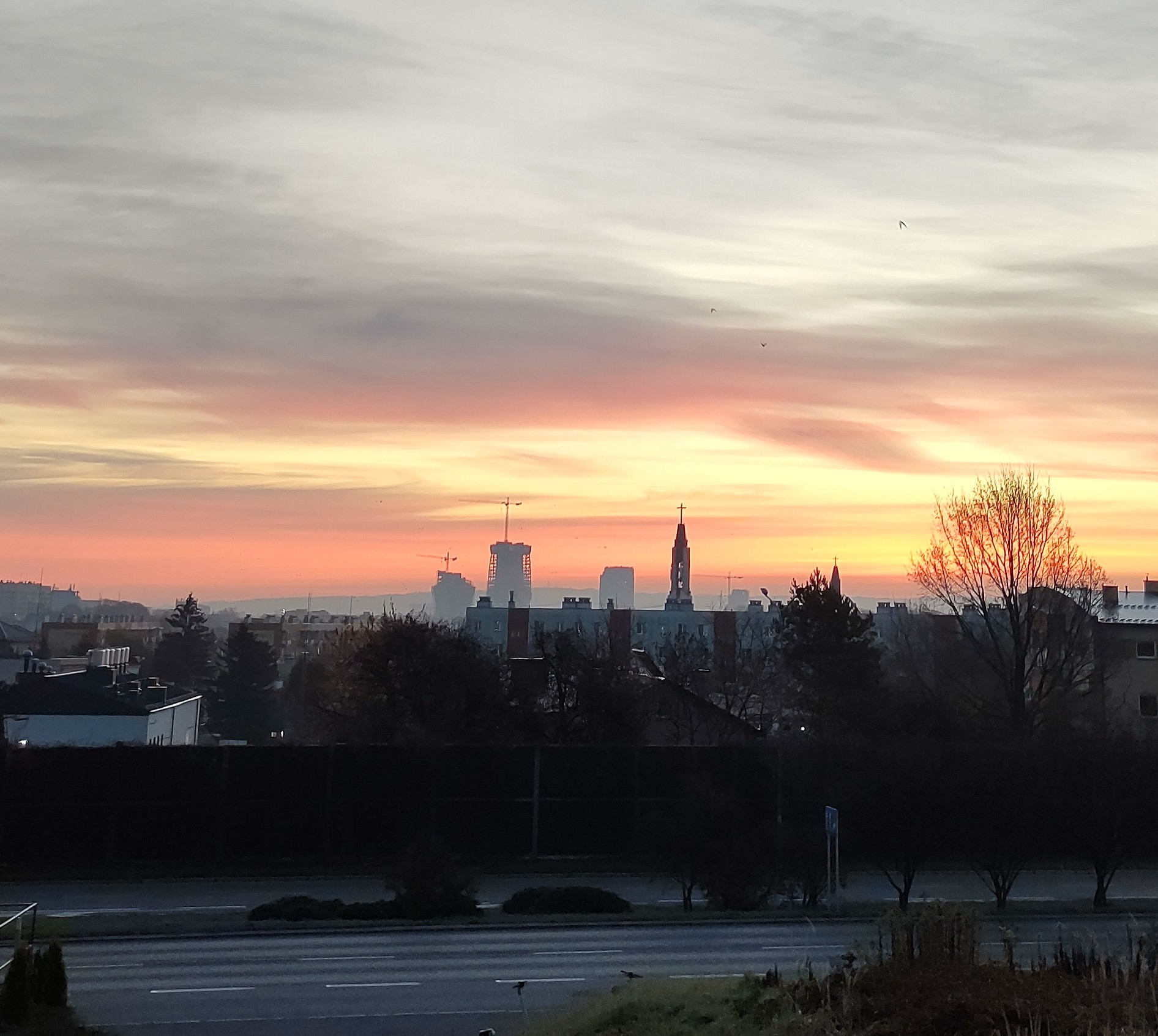 IMG_20221108_061623335_HDR~2.jpg