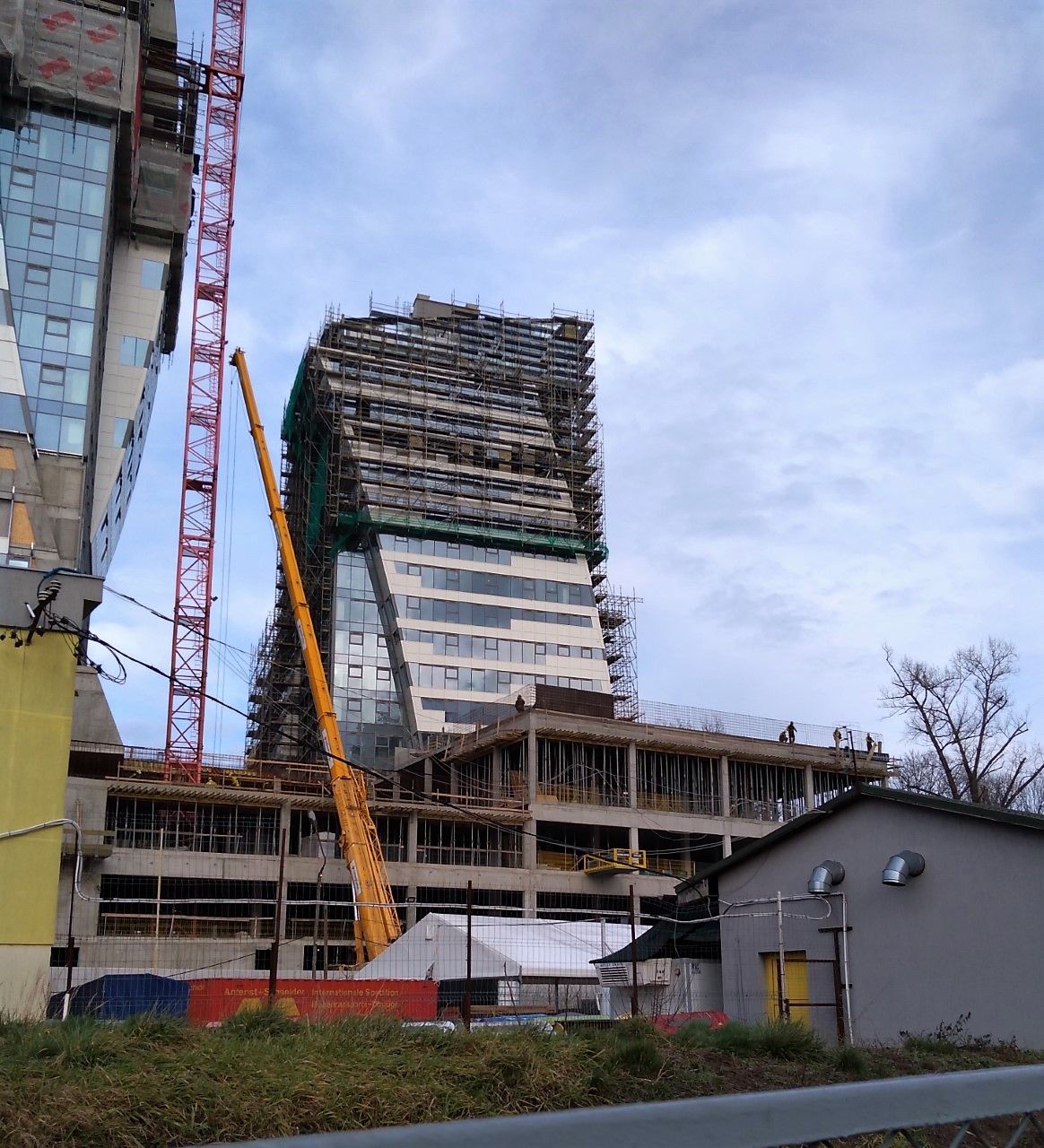 olup_IMG_20230113_095159~2.jpg