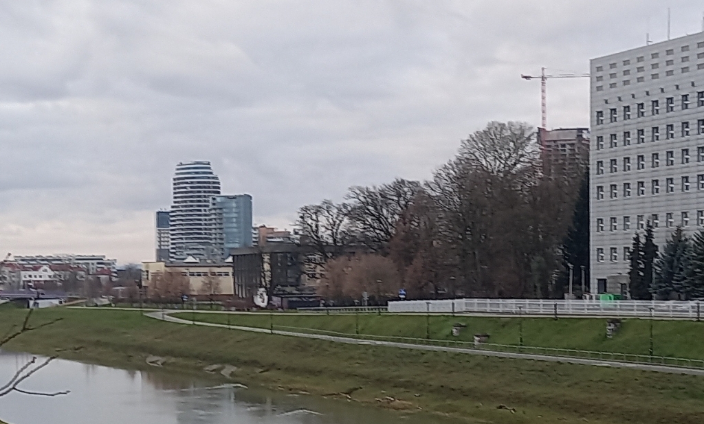 20230114_081036.jpg