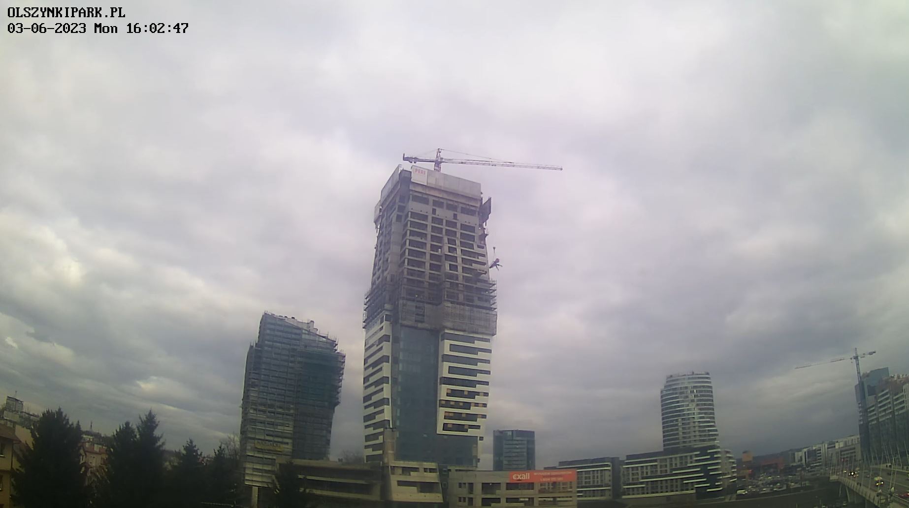 olszynki.JPG